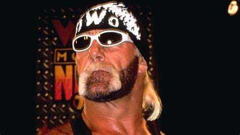 hulk hogan fake beard